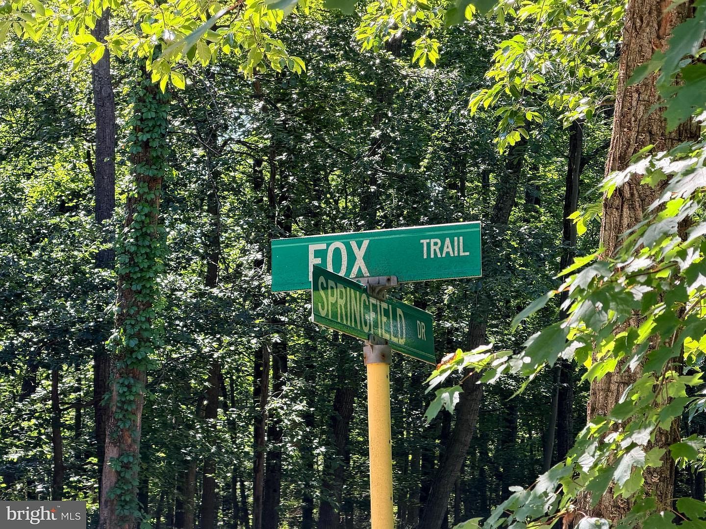 Fox Trl Lot 1 Winchester, VA 22602 - Thumbnail 3