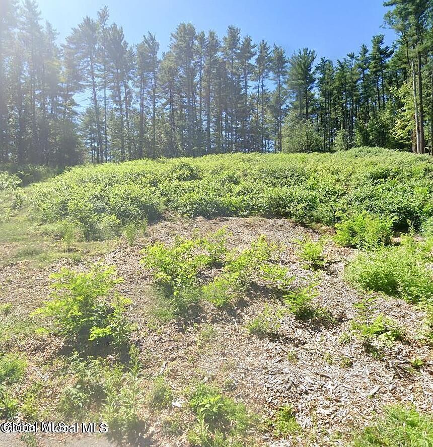 5 Woodview Ct Ballston Lake, NY 12019 - Thumbnail 3
