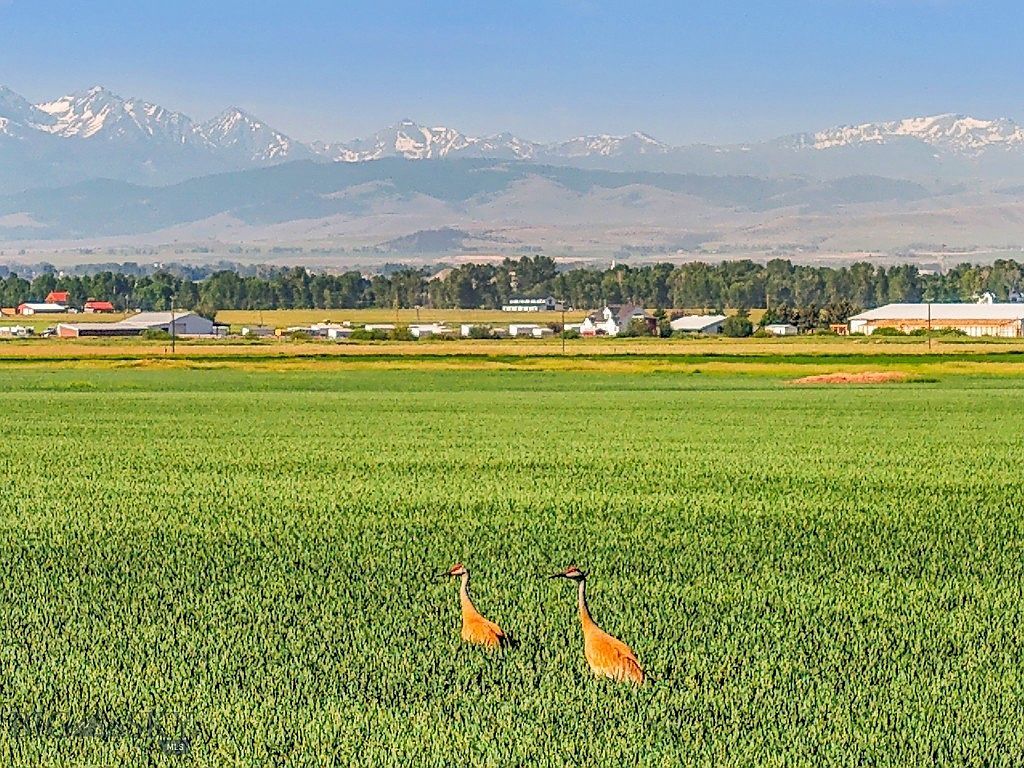 Penwell Bridge Rd Belgrade, MT 59714 - Thumbnail 3