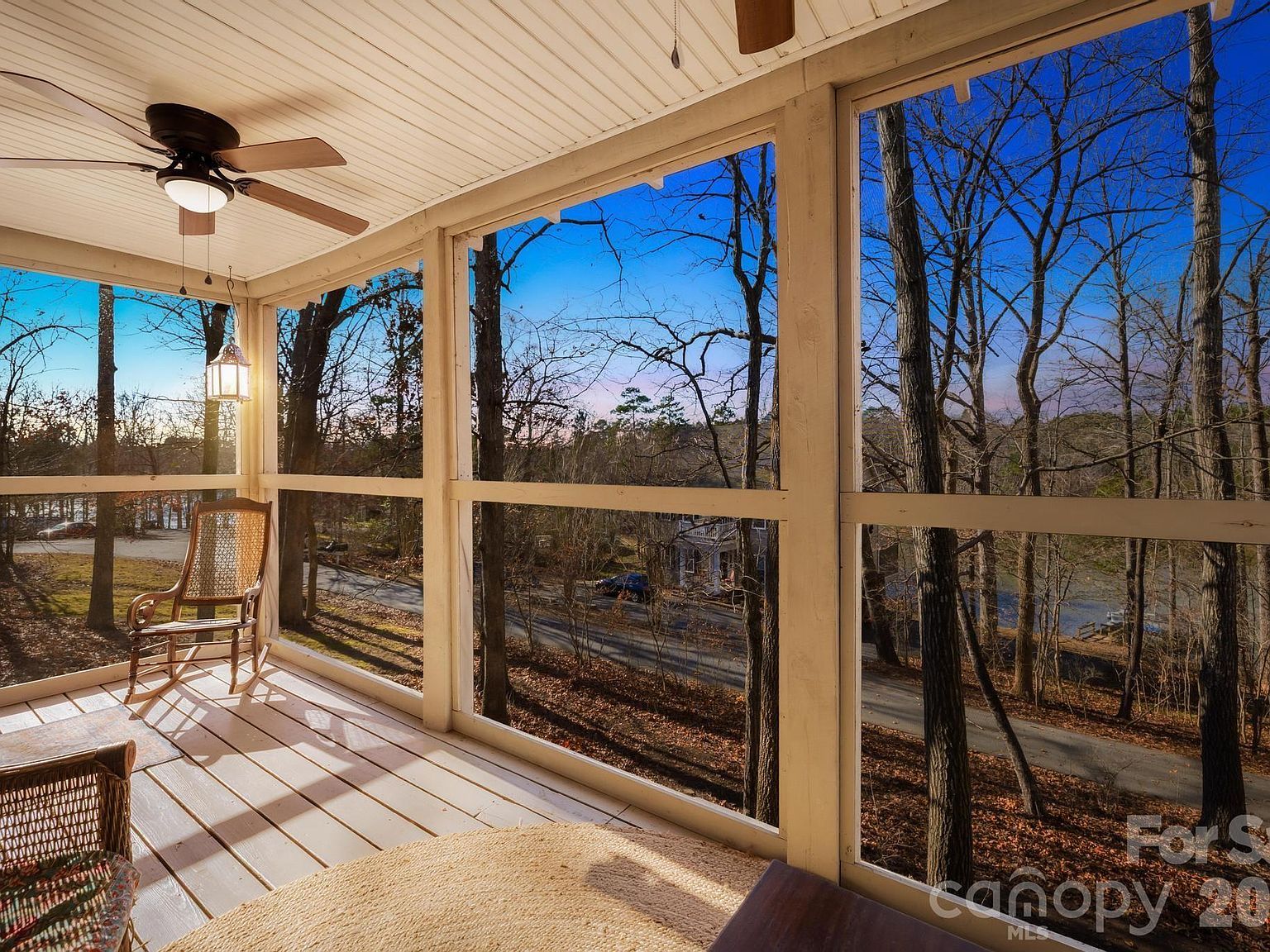 294 Carroll Cv Lake Wylie, SC 29710 - Thumbnail 3