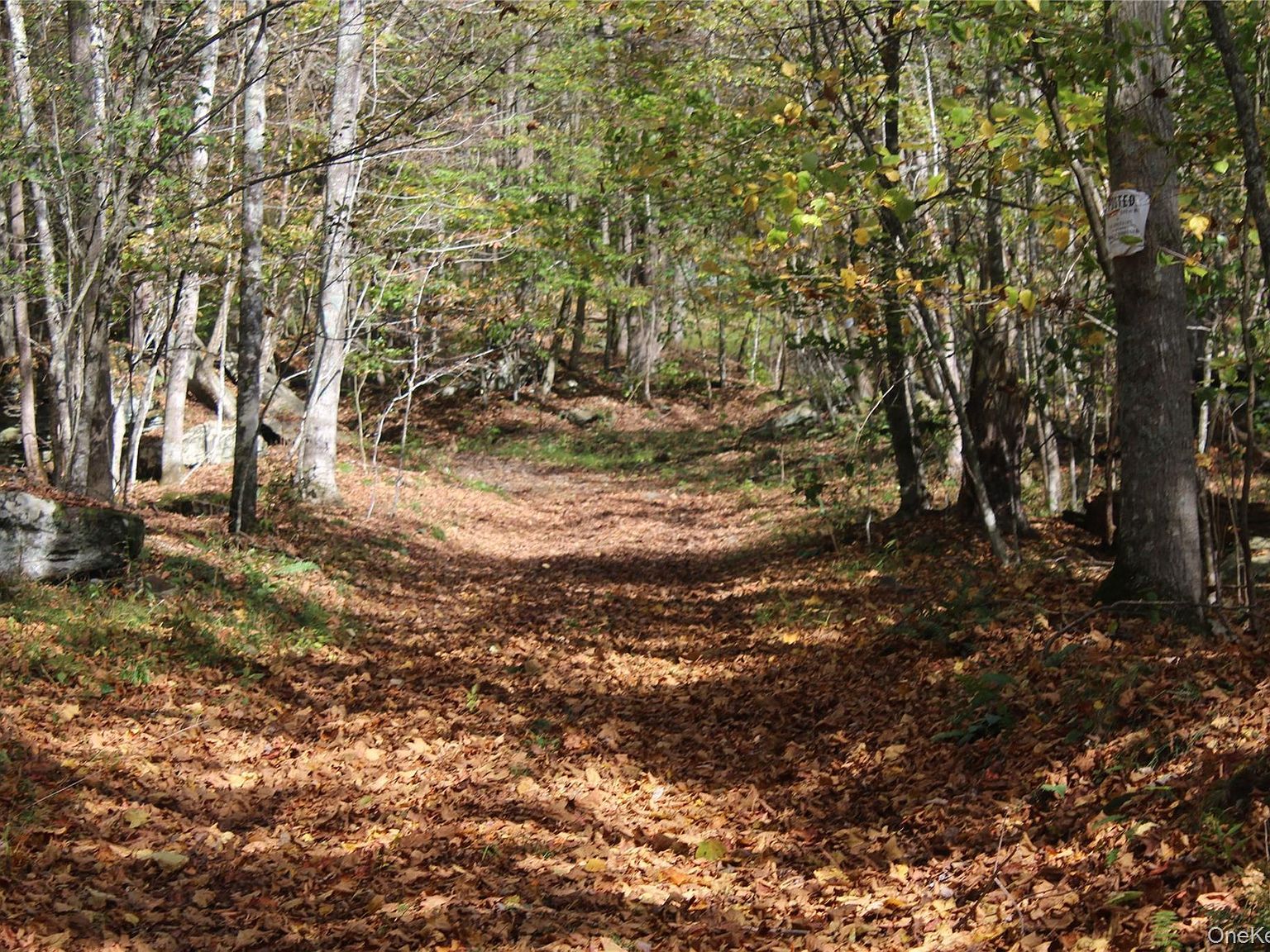 Peakville Rd East Branch, NY 13756 - Thumbnail 3