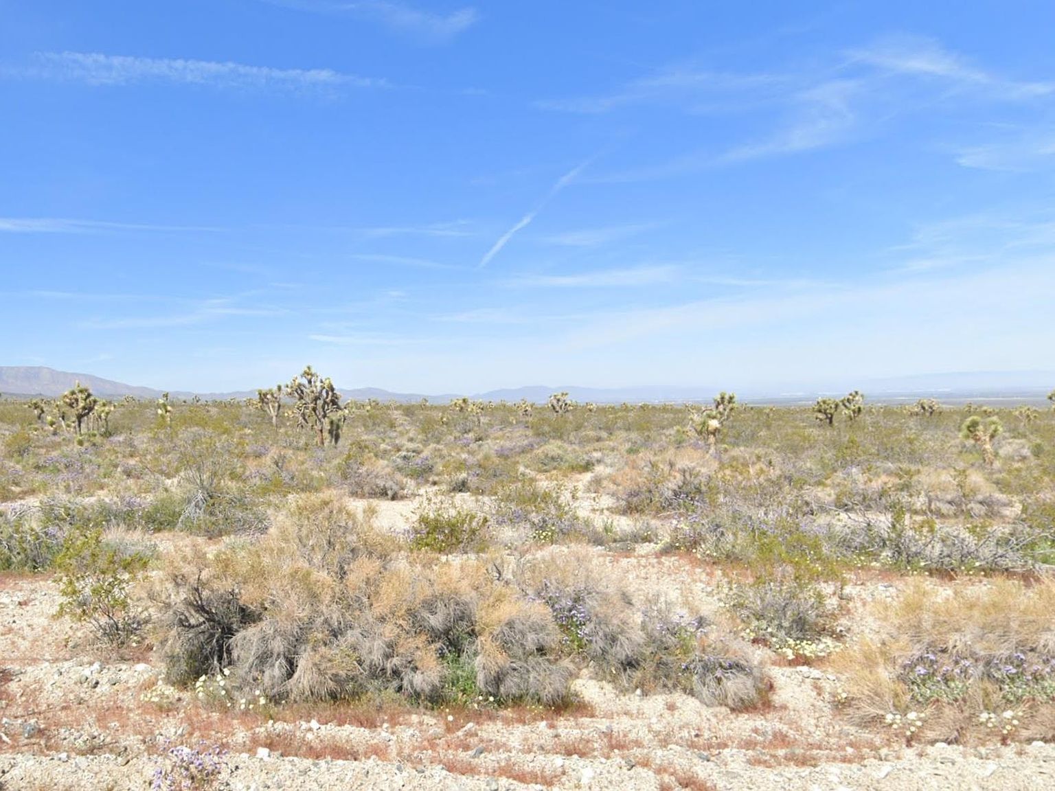 Vic Avenue Largo Vis #X8 Llano, CA 93544 - Thumbnail 3