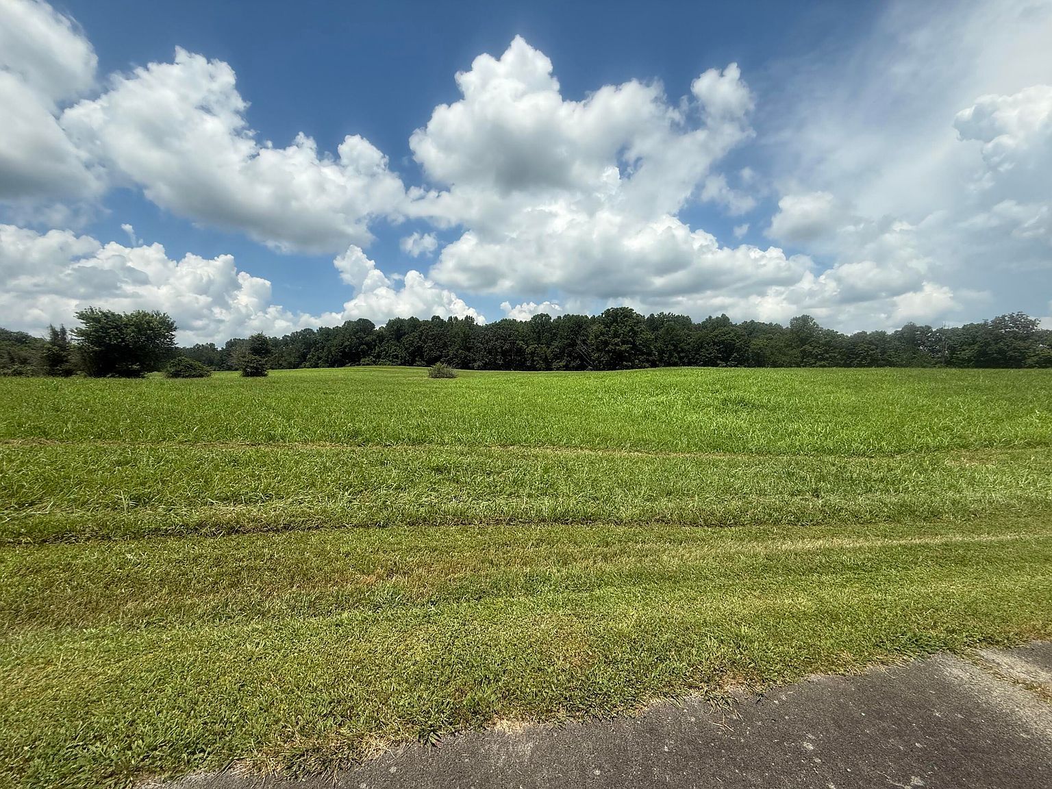 88 Peninsula Rd Jamestown, KY 42629 - Thumbnail 3