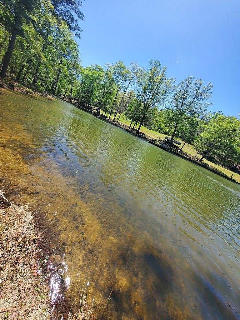 390 Abercrombie Point Greenwood, SC 29649 - Thumbnail 3