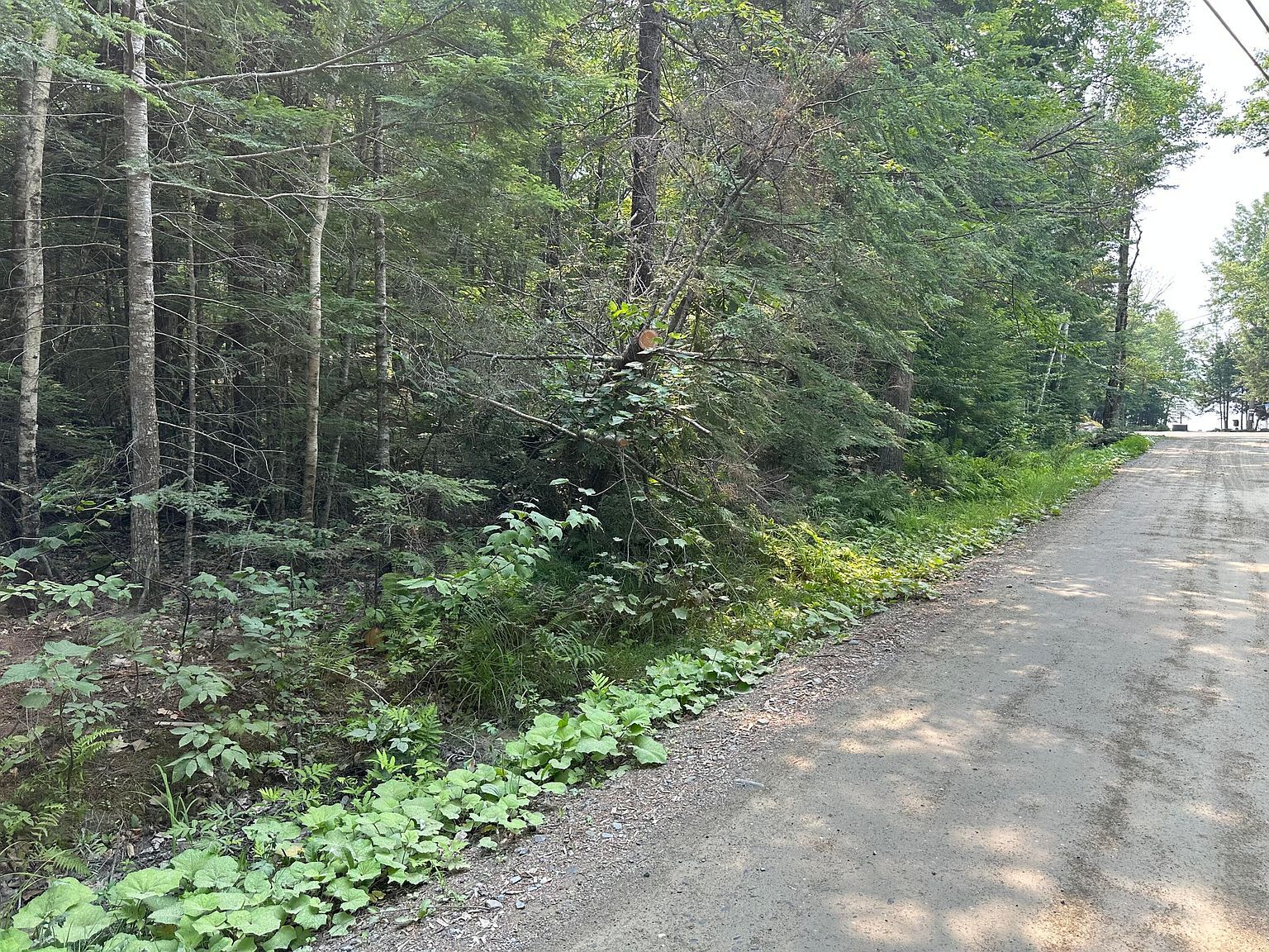 37 Cottage Shore Dr Holden, ME 04429 - Thumbnail 3