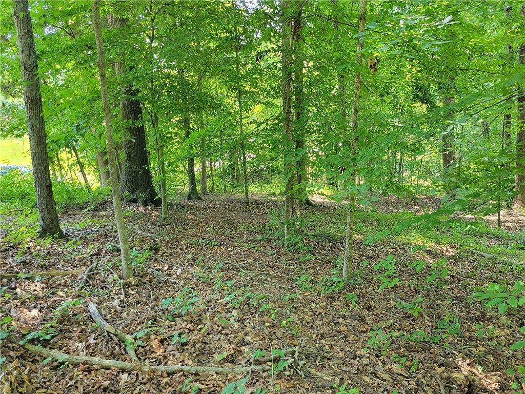 0 Fox Fire Rd Central, SC 29630 - Thumbnail 3