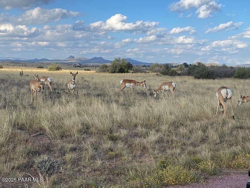 0 W Long Meadow Dr LOT 42 Prescott, AZ 86305 - Thumbnail 3