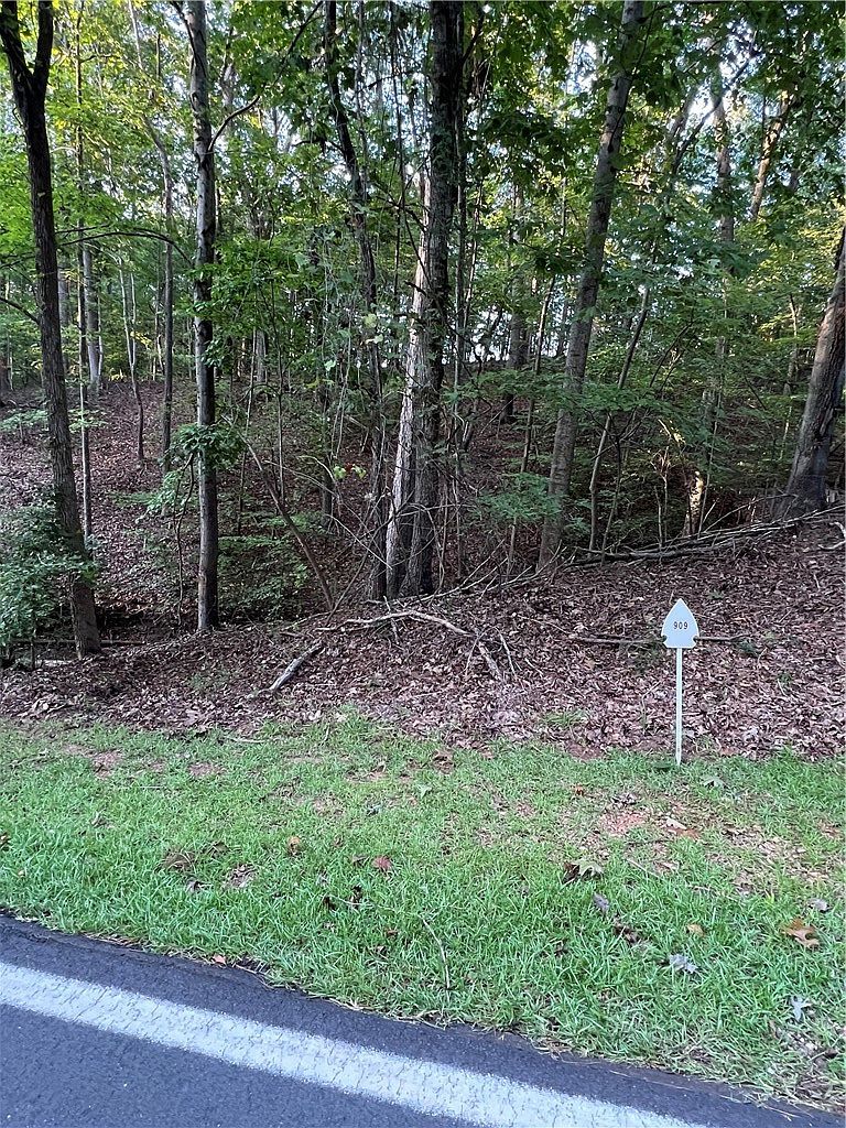 909 S Hogan Dr Westminster, SC 29693 - Thumbnail 3