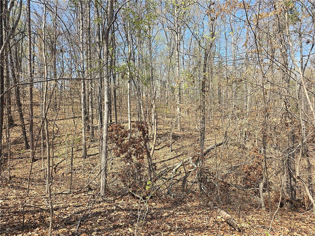 759 Durham Brown Rd Seneca, SC 29678 - Thumbnail 3