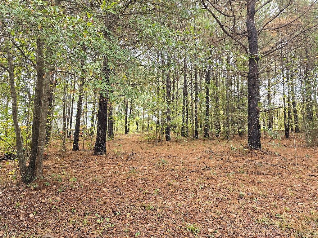 0 Dogwood Ln Townville, SC 29689 - Thumbnail 3