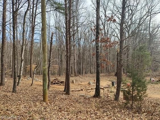 1075 Augusta Hicks Rd #3E & 3F Walnut Cove, NC 27052 - Thumbnail 3