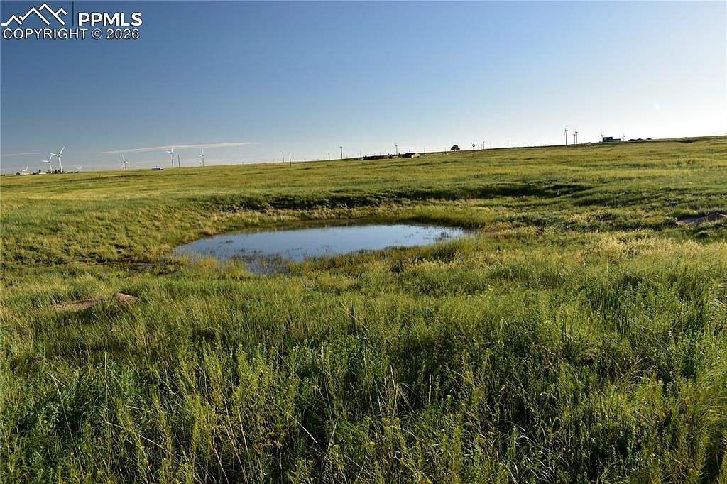 9545 N Yoder Rd Calhan, CO 80808 - Thumbnail 3