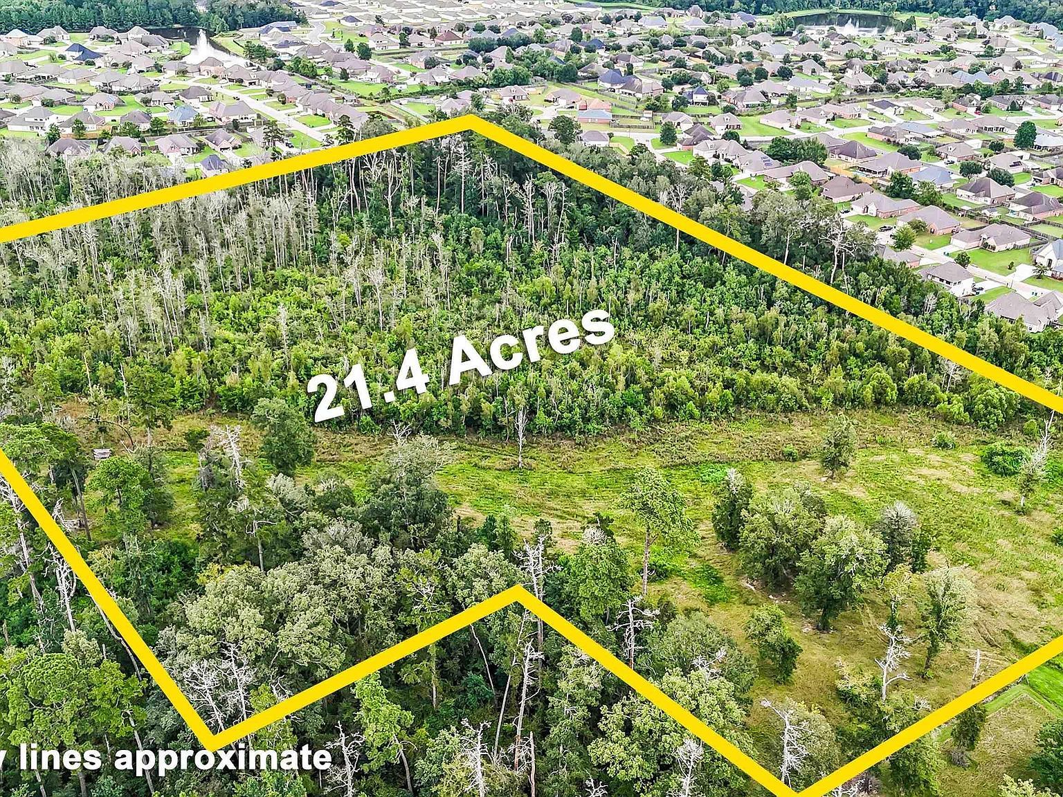 13231 Hammack Rd Denham Springs, LA 70726 - Thumbnail 3