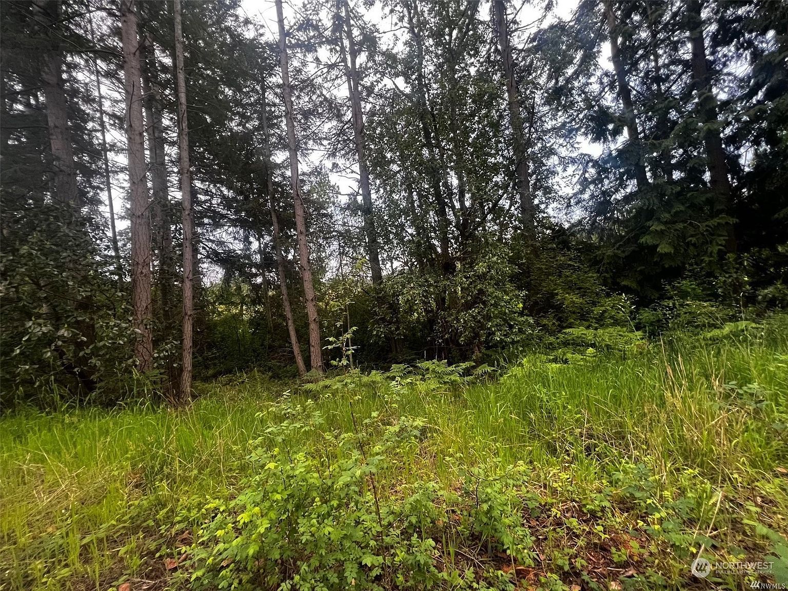 0 Camano Rdg Camano Island, WA 98282 - Thumbnail 3