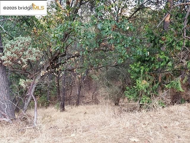 21473 Greenoaks Ct Sonora, CA 95370 - Thumbnail 3