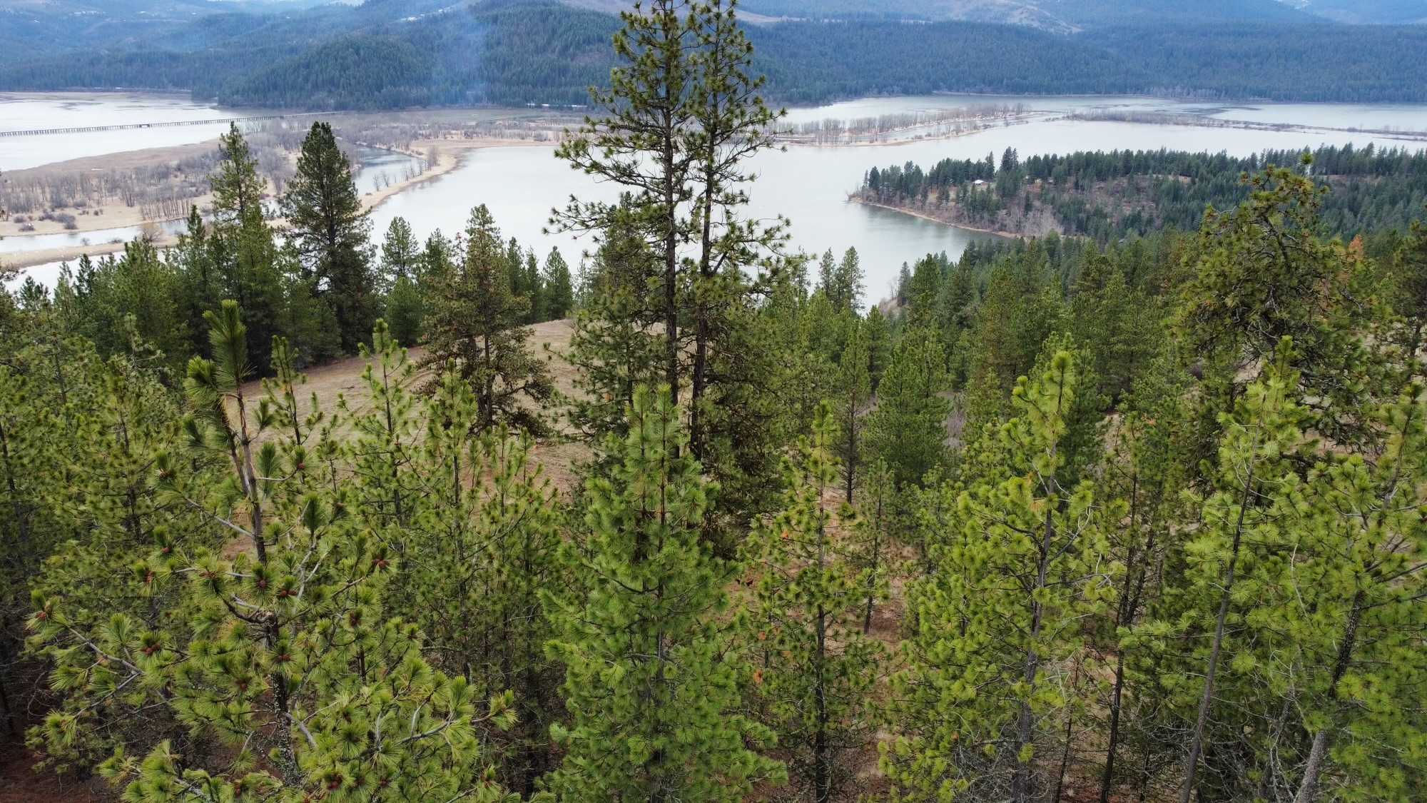 East Holiday Road, Harrison, 83833 - Thumbnail 4