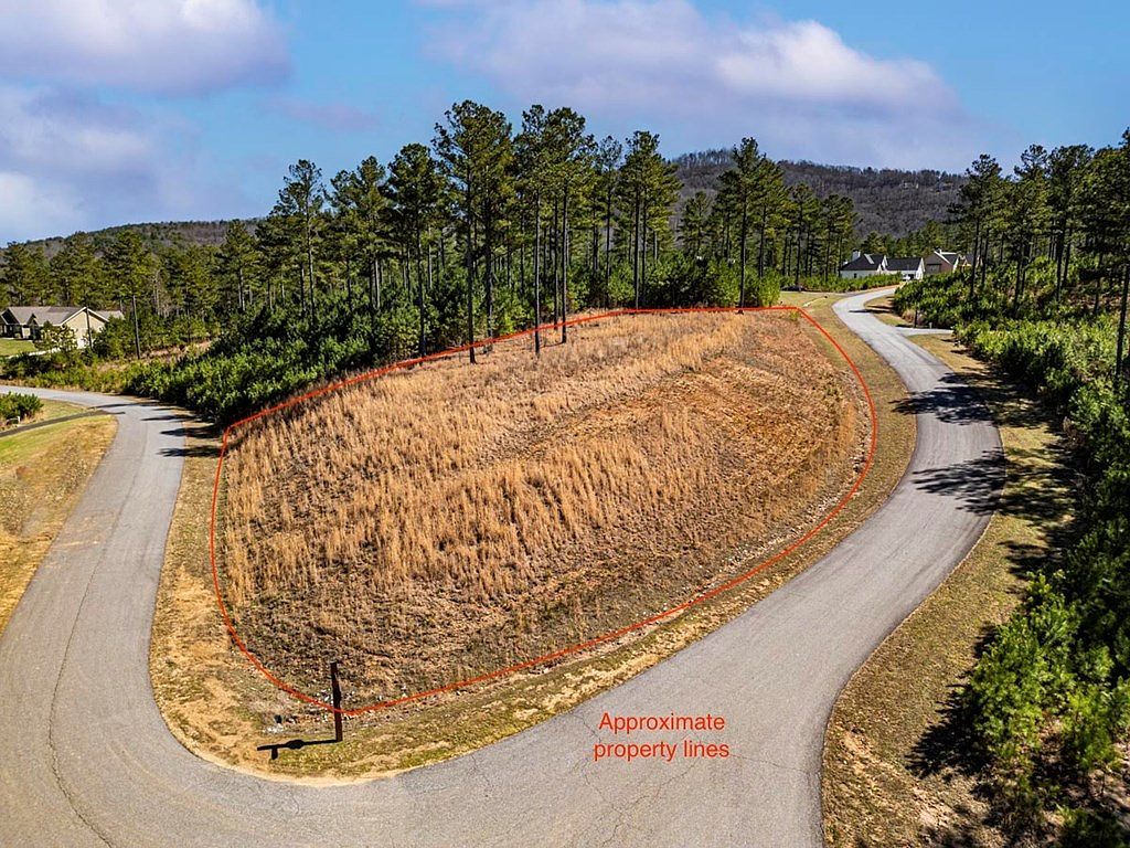 0 Loop Ln Blairsville, GA 30512 - Thumbnail 3