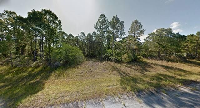 BLUELEAF DRIVE LOT 11 North Pt, FL 34286 - Thumbnail 3