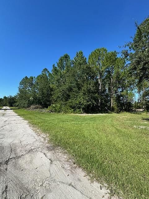 Woodland Ave LOT 88 Paisley, FL 32767 - Thumbnail 3