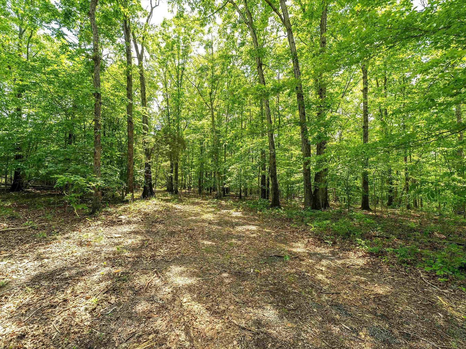 1309 Salem Rd Schuyler, VA 22969 - Thumbnail 3