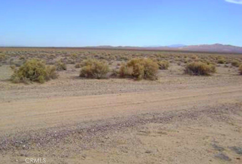 1 Shelby Rd LOT 169 Helendale, CA 92342 - Thumbnail 3