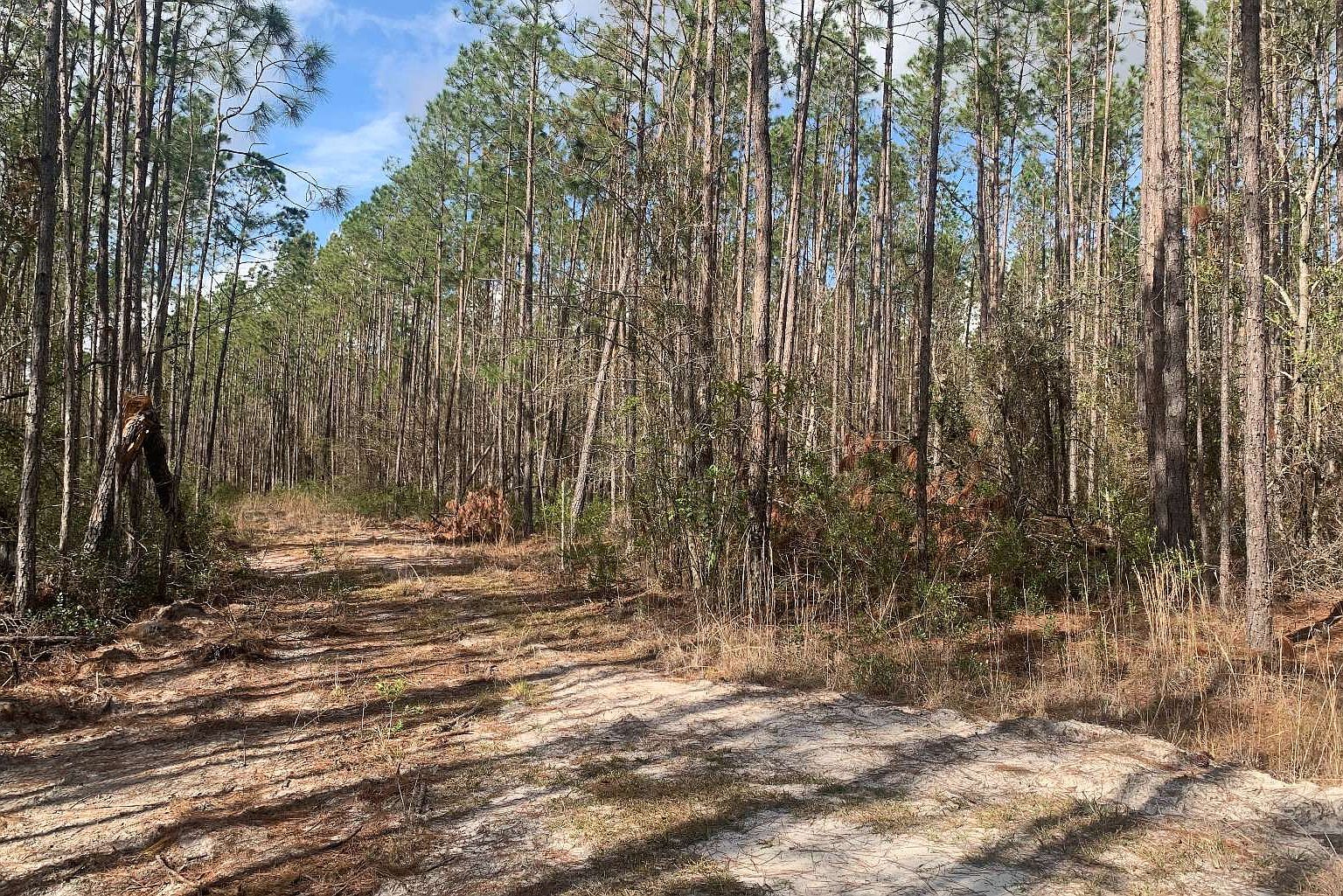 Tdb Northeast Dr #25 Jasper, FL 32052 - Thumbnail 3