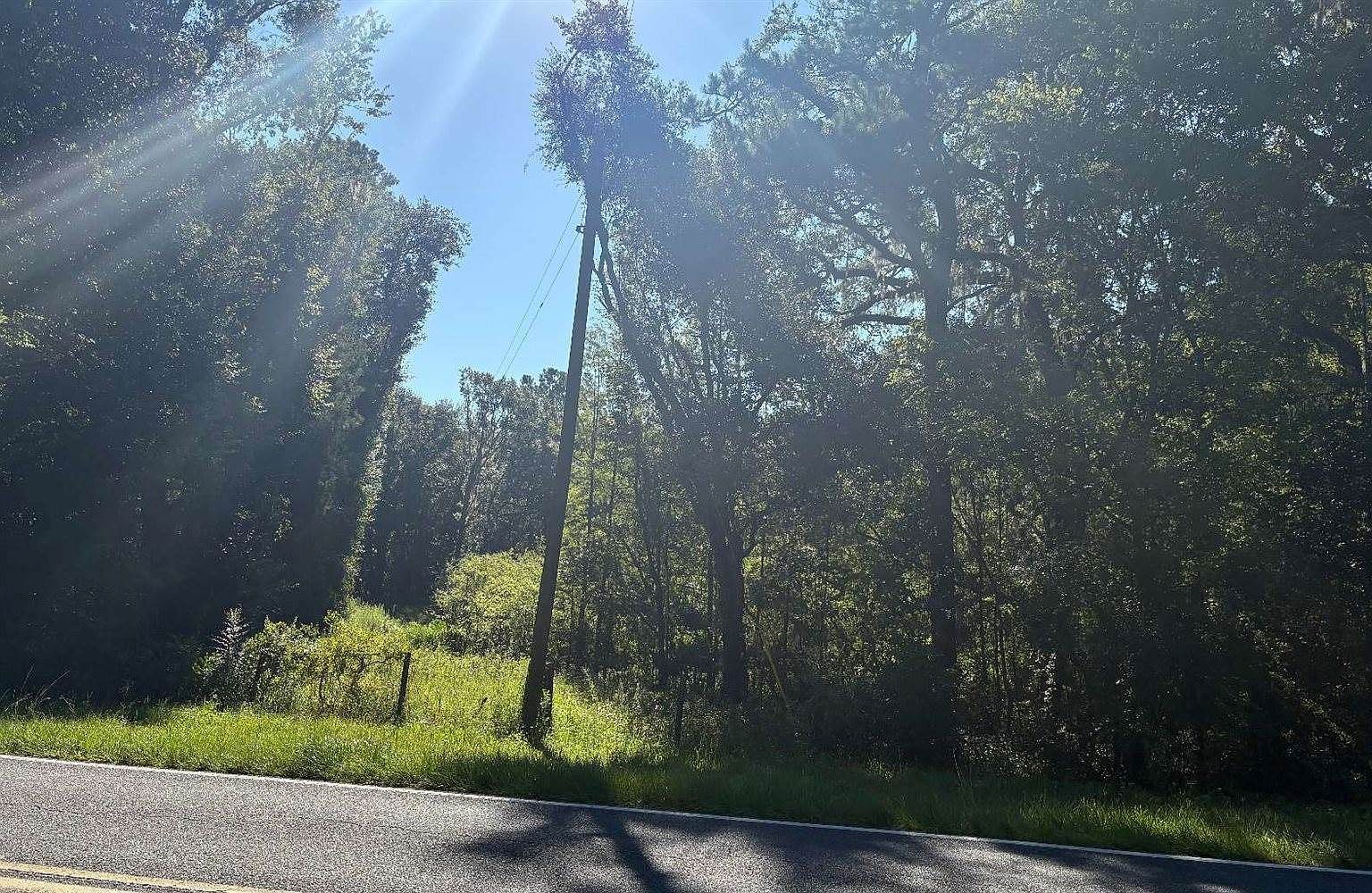 Tbd Sw Tustenuggee Ave Lake City, FL 32024 - Thumbnail 3