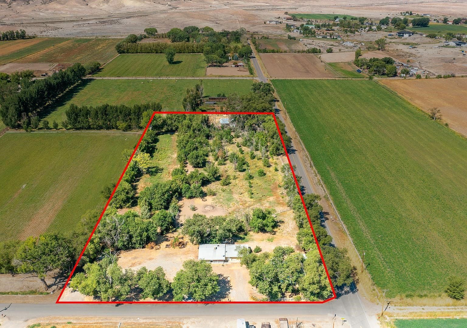 1249 M Rd Loma, CO 81524 - Thumbnail 3