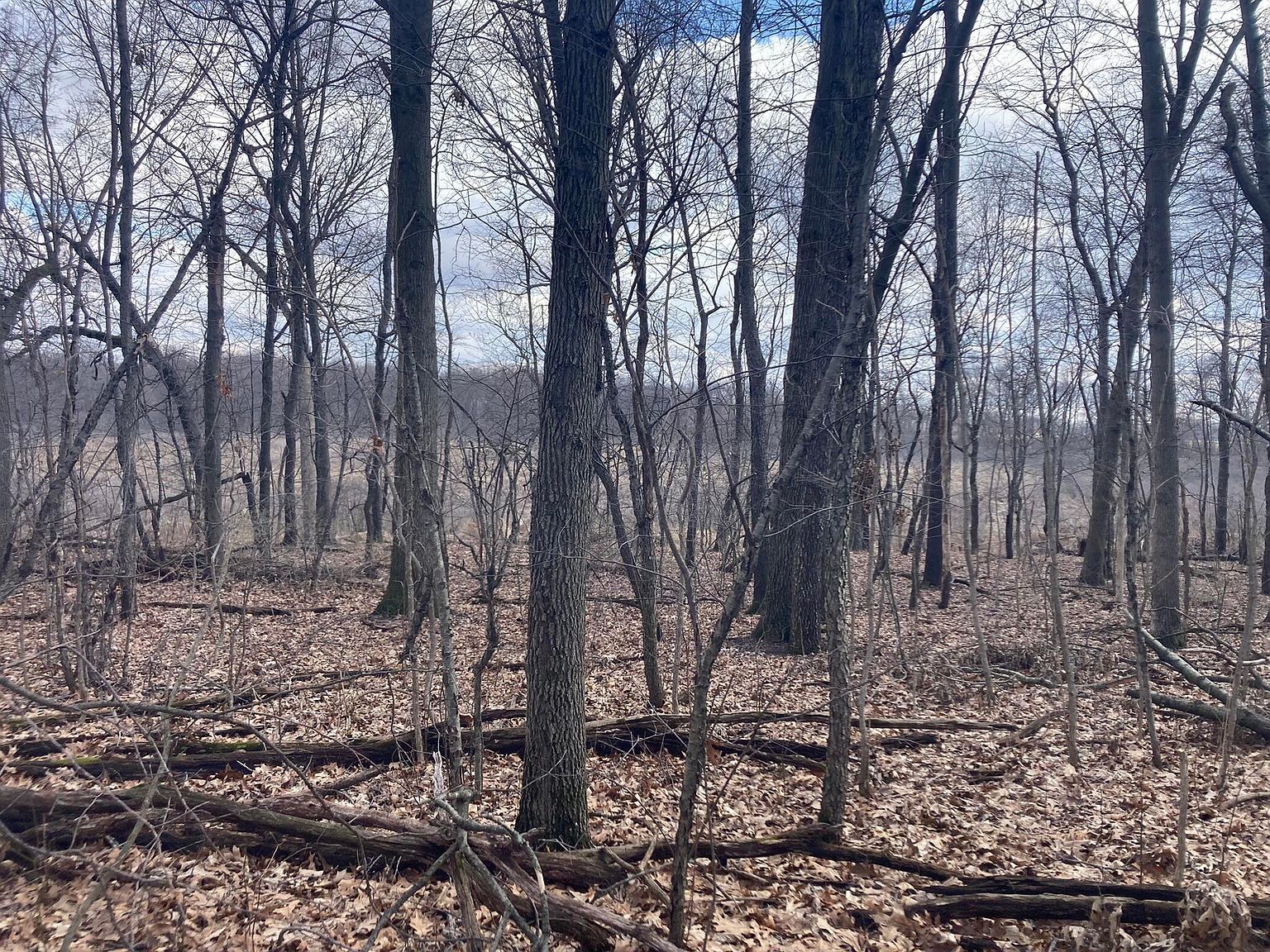 Crystal Springs St Dowagiac, MI 49047 - Thumbnail 3