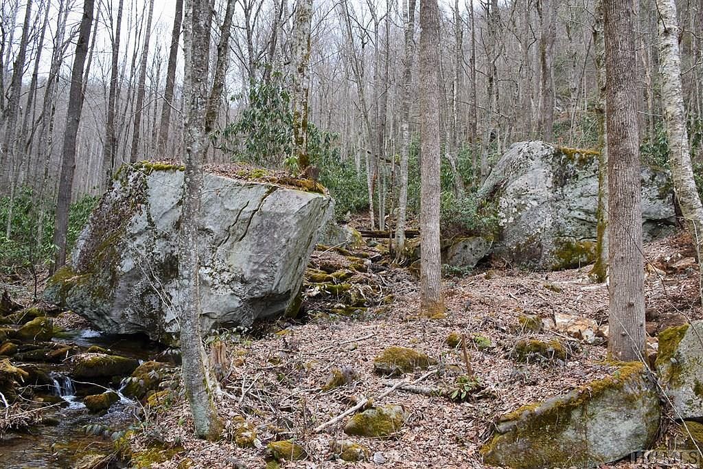 Multi Spike Moss Rd Sapphire, NC 28774 - Thumbnail 3