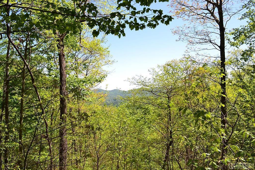 LOT 35 Hidden Grouse Ln Sapphire, NC 28774 - Thumbnail 3