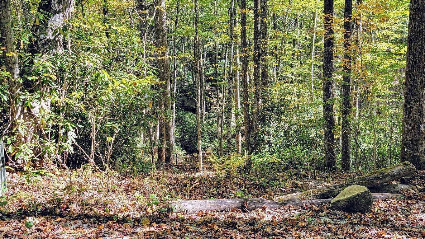 21 S Speckled Feather Pass Sapphire, NC 28774 - Thumbnail 3