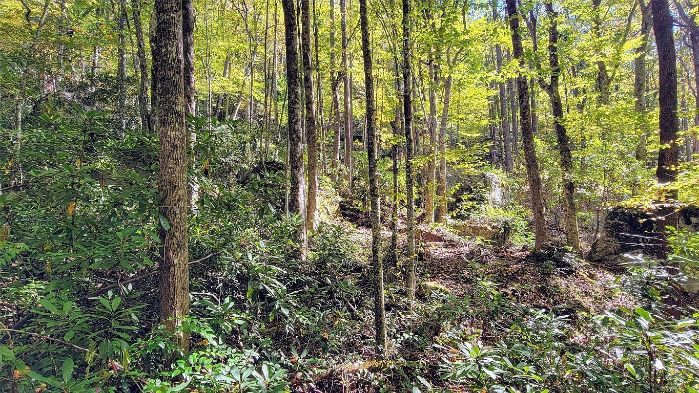 LOT Spikemoss Rd #Q Sapphire, NC 28774 - Thumbnail 3