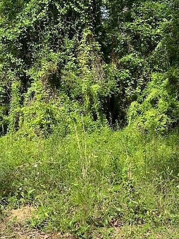 45075 Chemekette Rd, Robert, LA, 70455 - Thumbnail 3