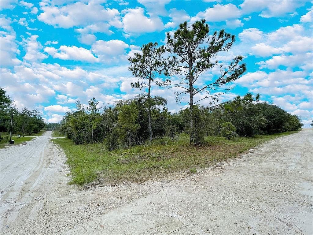 NE 127th Ct Bronson, FL 32621 - Thumbnail 3