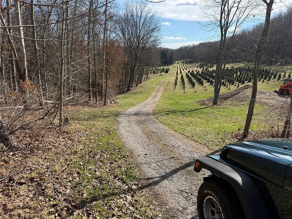 0 Prospect Rd Evans City, PA 16033 - Thumbnail 3