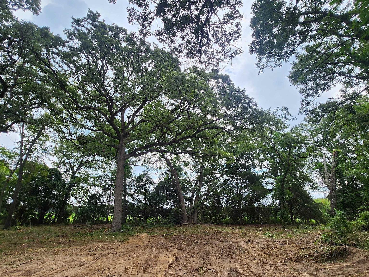 Lots 4 5 6 Holly Gln Murchison, TX 75778 - Thumbnail 3