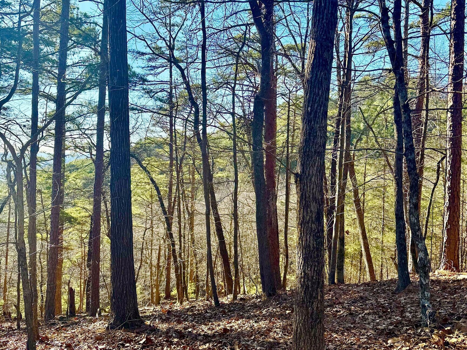 335 Packet Ct Ranger, GA 30734 - Thumbnail 3