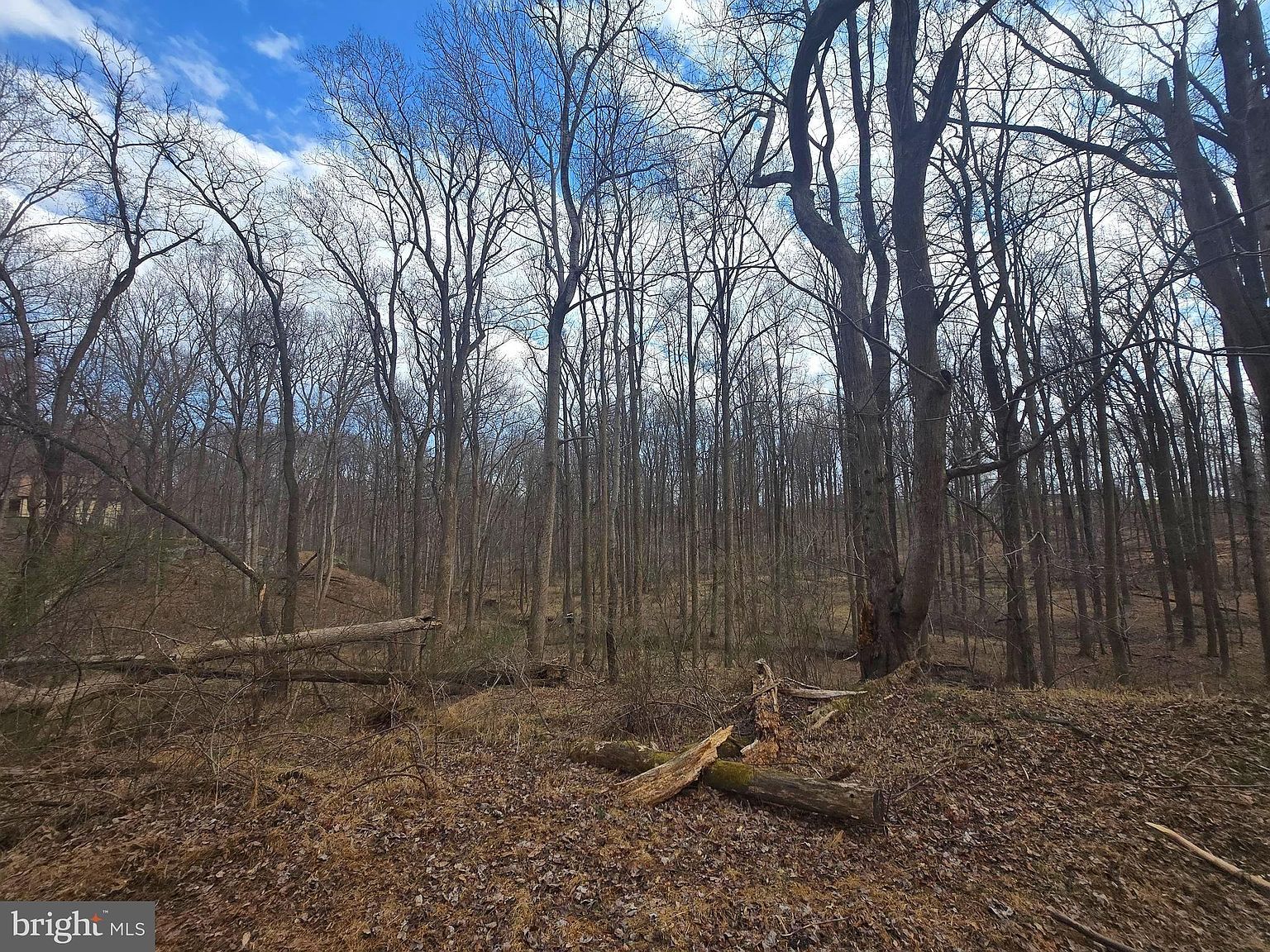 1156 Day Rd Sykesville, MD 21784 - Thumbnail 3