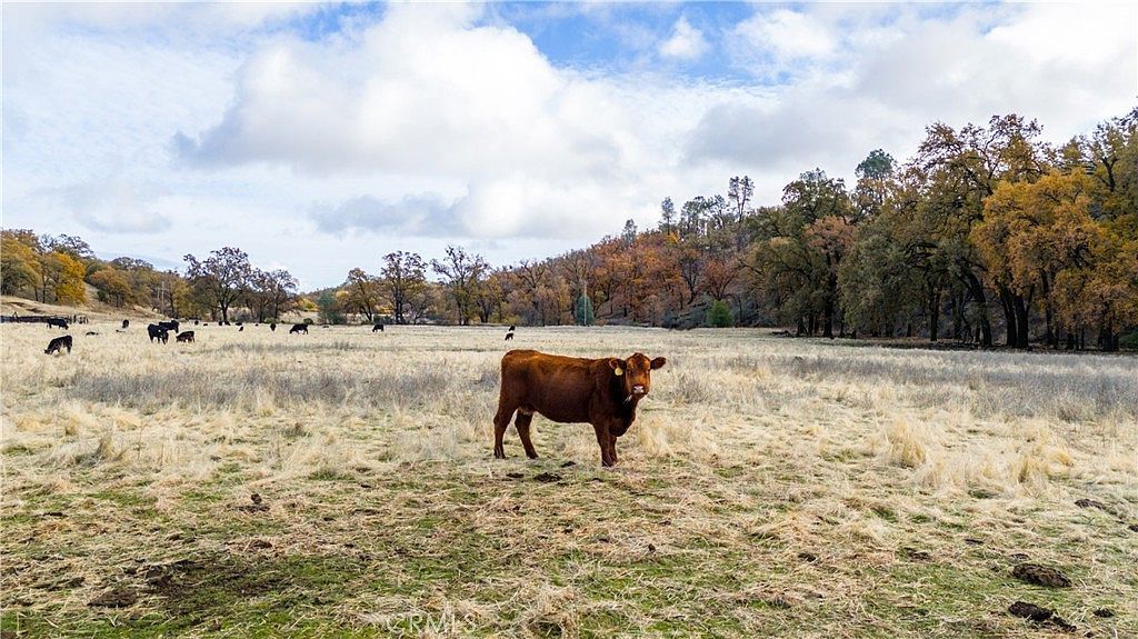 11158 Rocky Creek Rd Lower Lake, CA 95457 - Thumbnail 3