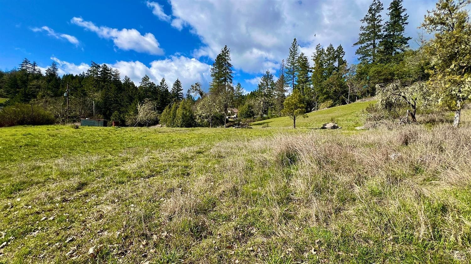 25631 Daphne Way Willits, CA 95490 - Thumbnail 3