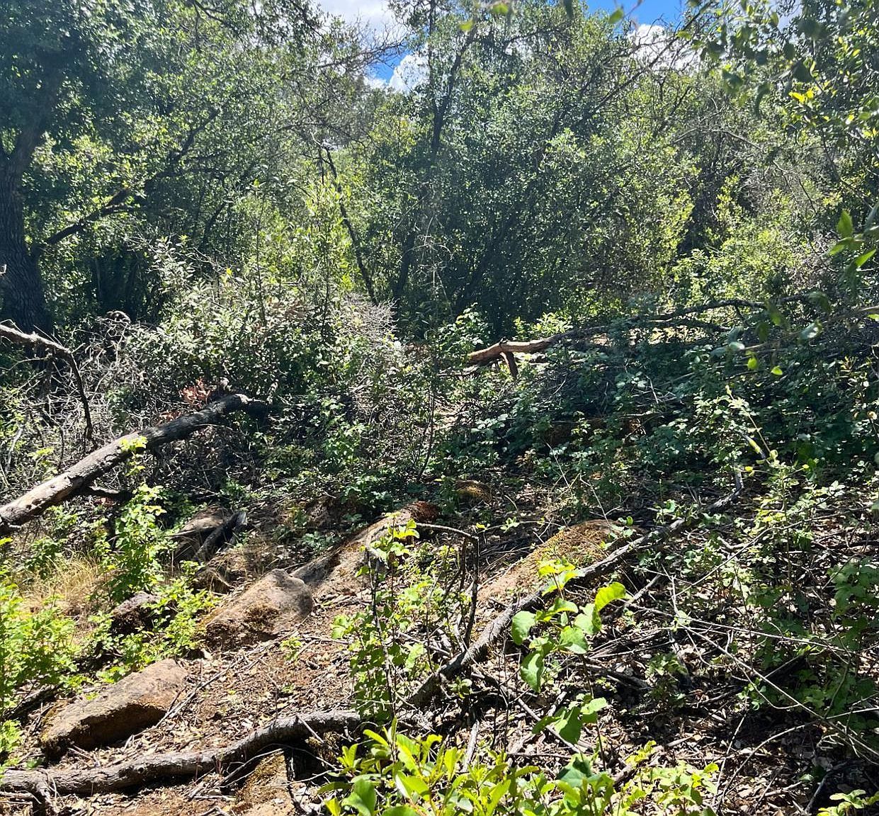 16486 8th Ave Clearlake, CA 95422  | Land/Lot