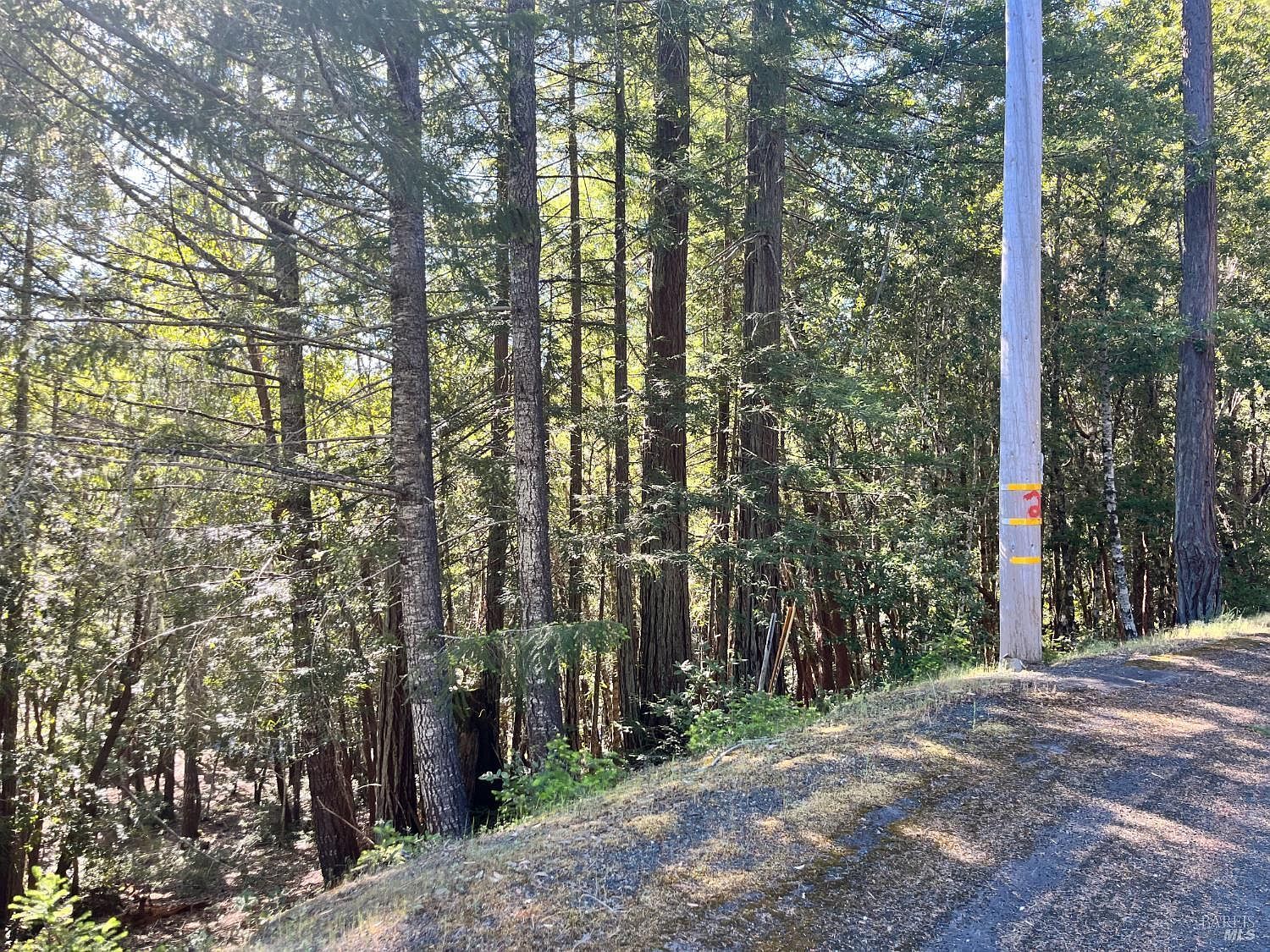 25143 Blue Jay Pl Willits, CA 95490 - Thumbnail 3