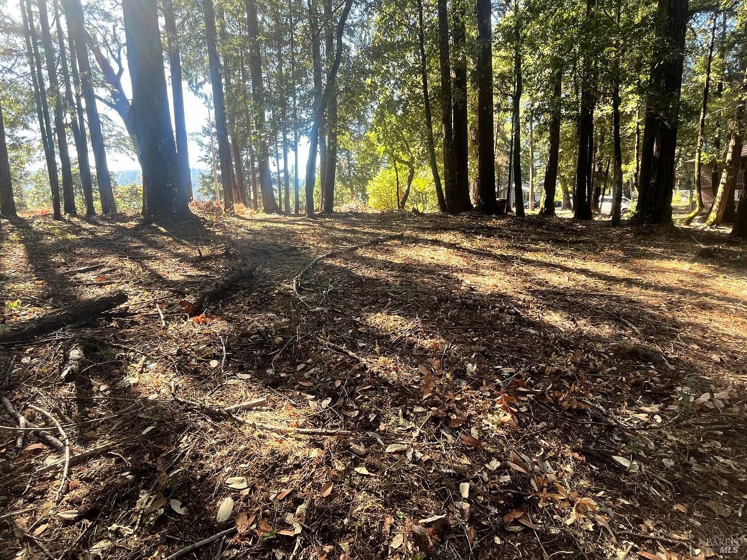 25201 Sherwood Rd Willits, CA 95490 - Thumbnail 3