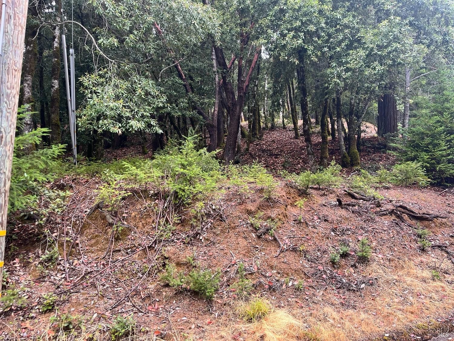 1817 Clover Dr Willits, CA 95490 - Thumbnail 3