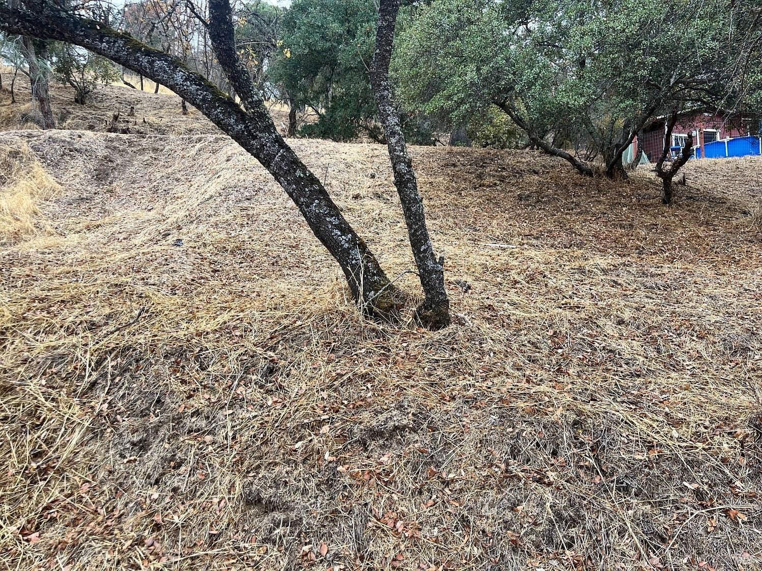 3670 Marin St Clearlake, CA 95422 - Thumbnail 3