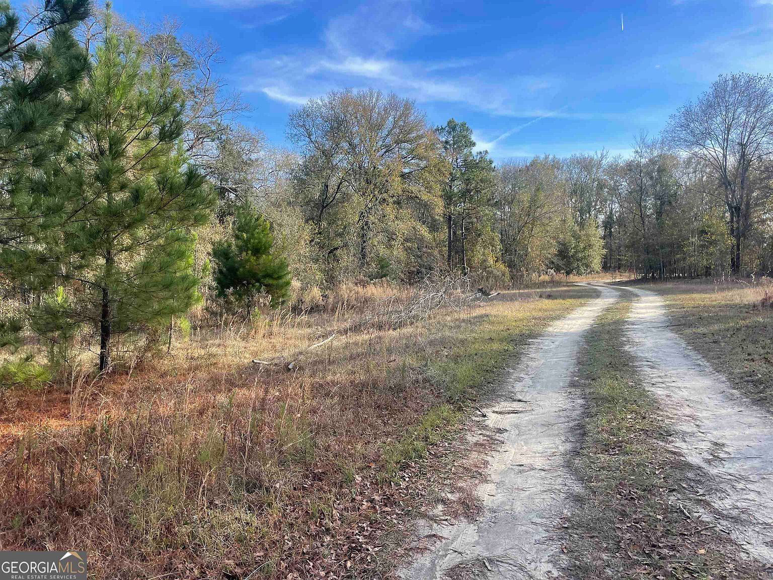 0 Mount Olive Way Soperton, GA 30457 - Thumbnail 3