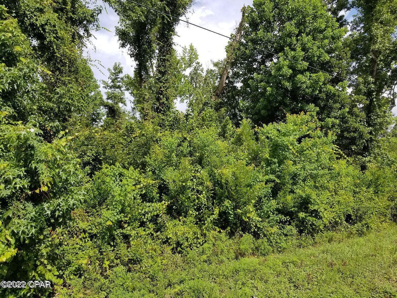 0 Highway 389 Lynn Haven, FL 32444 - Thumbnail 3