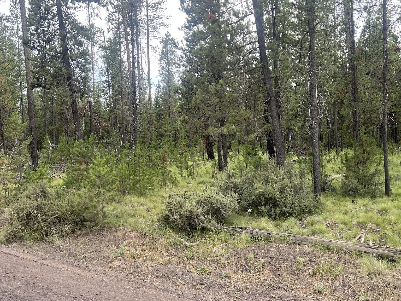 55975 Savage Dr Bend, OR 97707 - Thumbnail 3