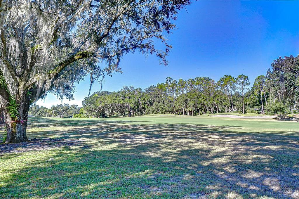 5130 Fairway One Dr Valrico, FL 33596 - Thumbnail 3